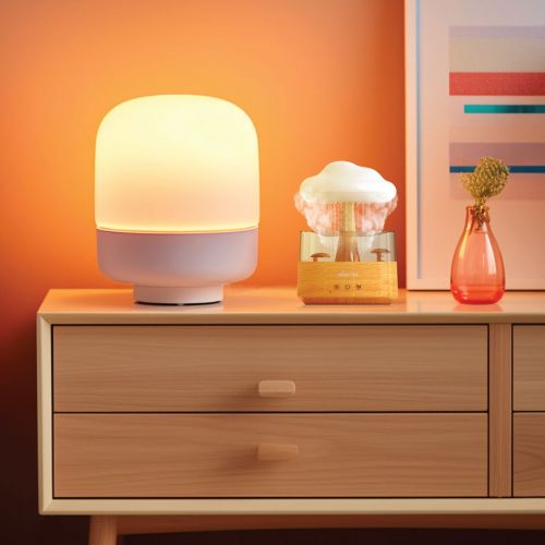 فروشگاه آنلاین نخلینو   - دستگاه بخور و رطوبت ساز سرد گرین لاین Green Lion RAIN CLOUD Diffuser